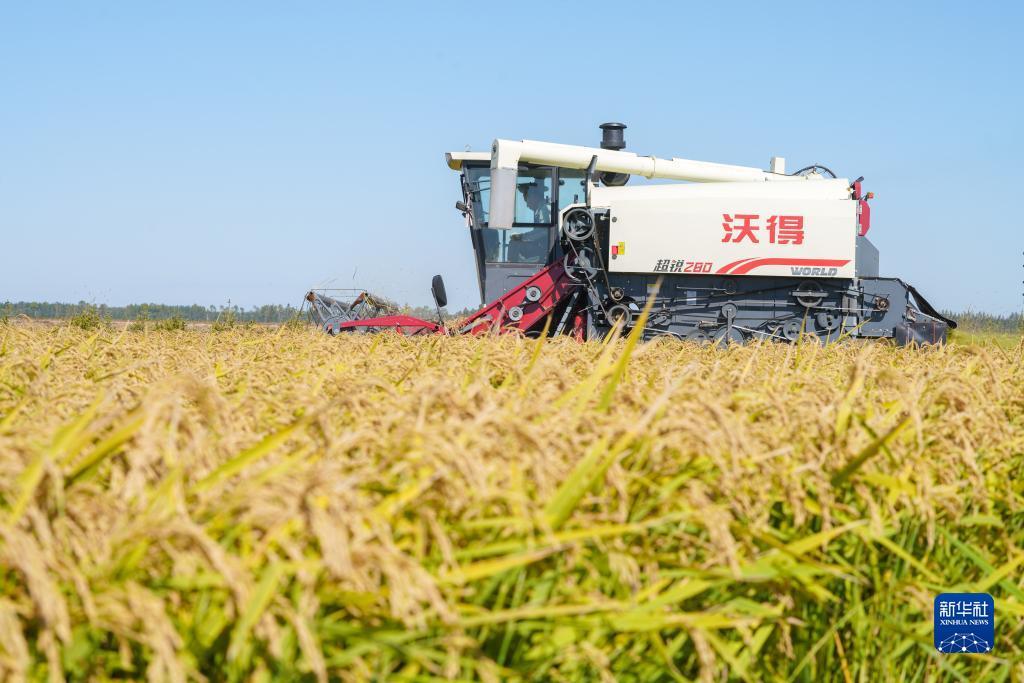 万人炸金花下载